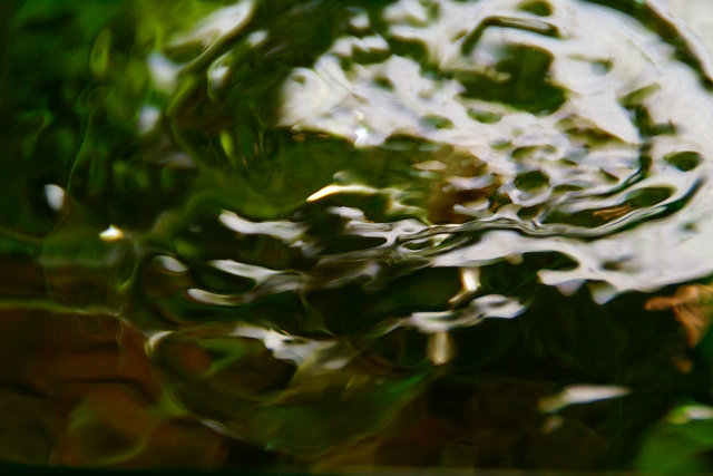 b0063999_9255463.jpg