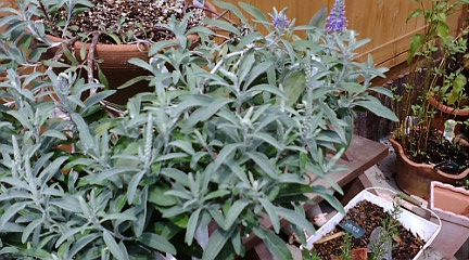 c0152002_17195816.jpg