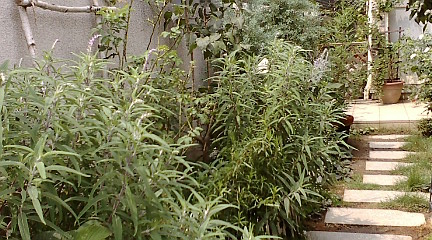 c0152002_17203996.jpg