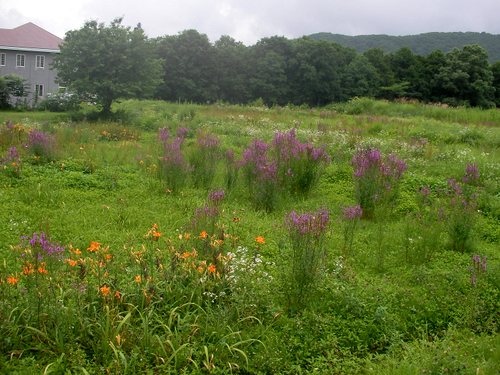 e0083204_1595927.jpg
