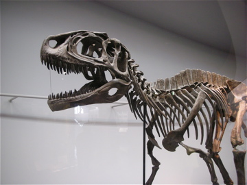 c0145209_094769.jpg