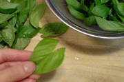 a0062324_22184461.gif