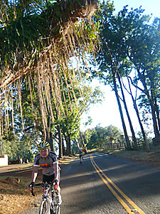 d0023725_16592178.jpg