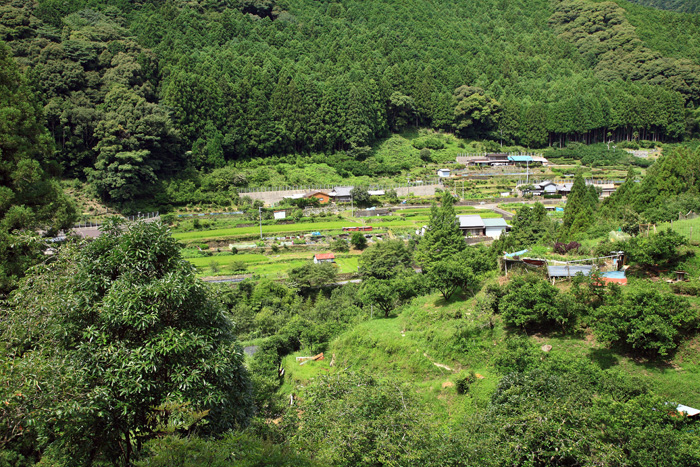 d0147530_6283927.jpg
