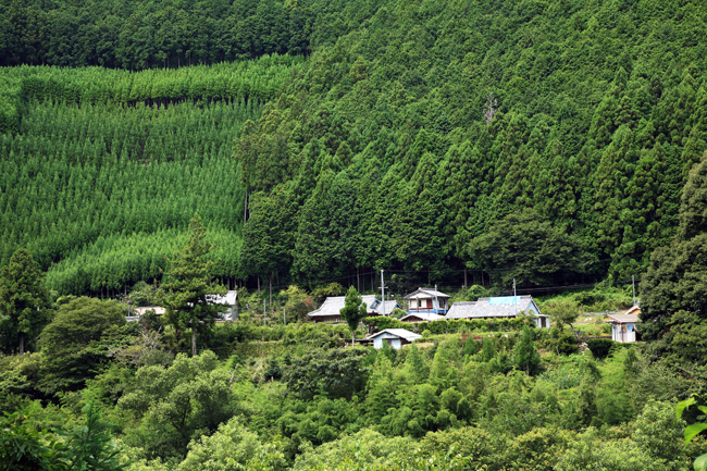 d0147530_6291261.jpg