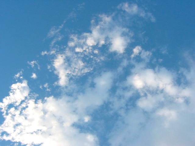 a0095337_02477.jpg