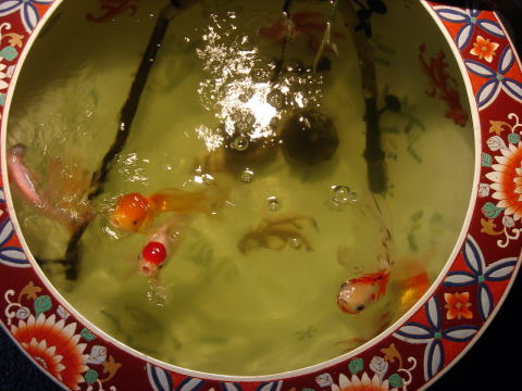 e0083155_2052268.jpg