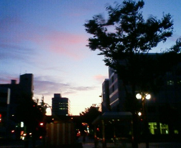 b0140559_23212848.jpg