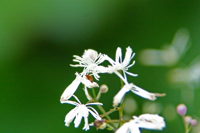 d0102968_20472516.jpg