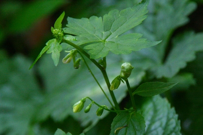 d0102968_20484029.jpg