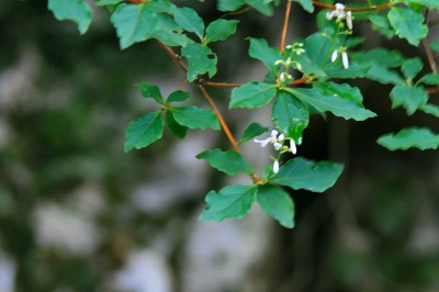 d0102968_20513181.jpg