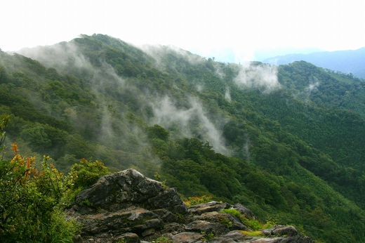 d0102968_214464.jpg