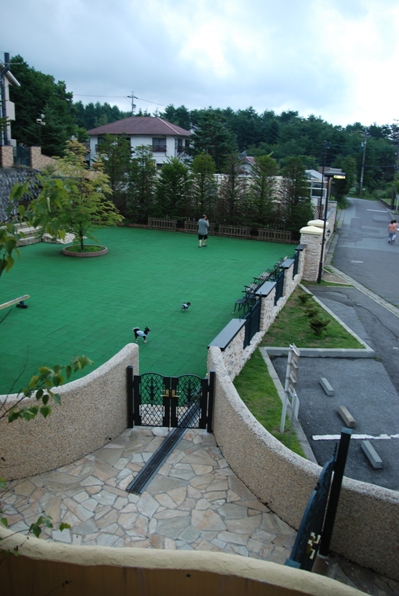 f0065768_1710143.jpg