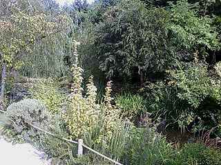 b0027579_1517881.jpg