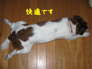 e0121589_123172.jpg