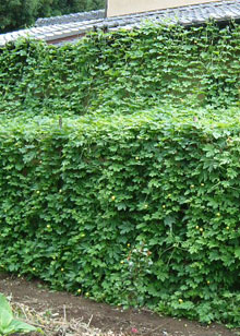 f0136096_13124756.jpg