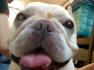 c0023399_18443057.jpg