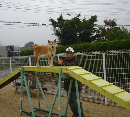 e0018604_5515739.jpg