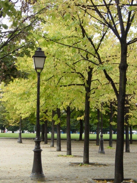 c0163006_20454844.jpg