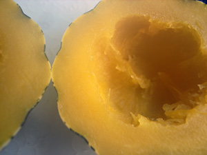 f0135908_0393033.jpg