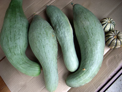 f0135908_041159.jpg