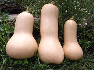 f0135908_0424183.jpg