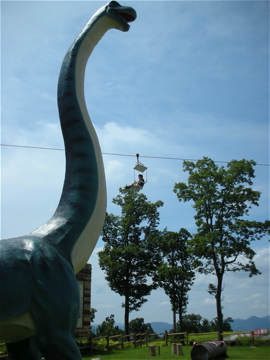 c0145209_16142395.jpg