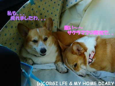 c0153410_12534773.jpg