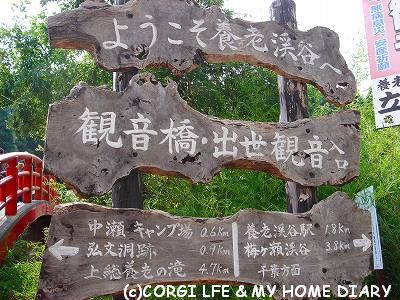 c0153410_1273610.jpg