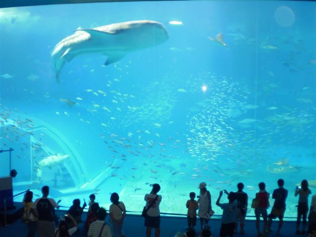 a0109715_12215856.jpg