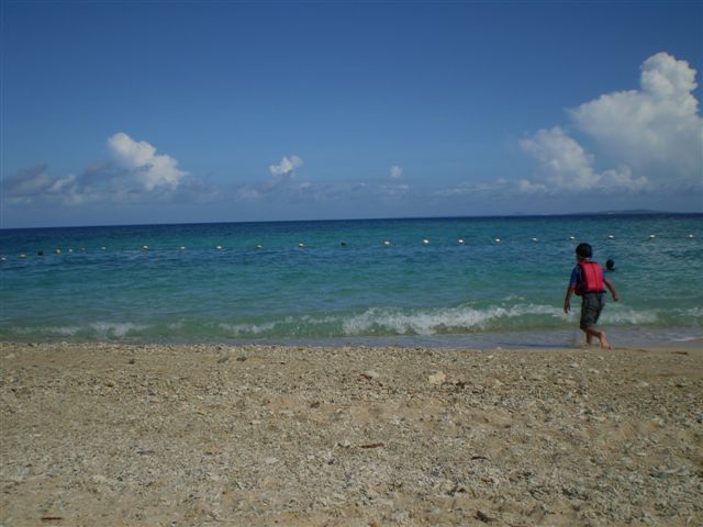 a0109715_12263266.jpg