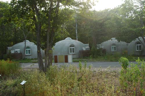 d0080118_0105023.jpg