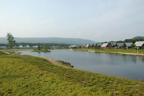 d0080118_095214.jpg