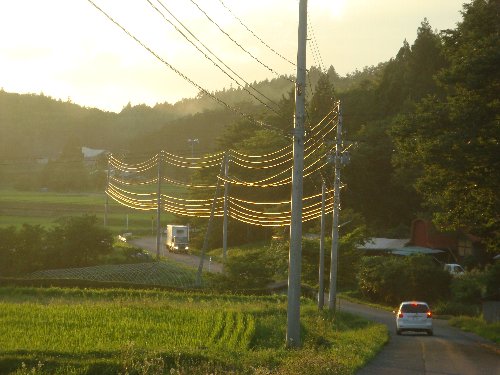 d0109319_6503048.jpg