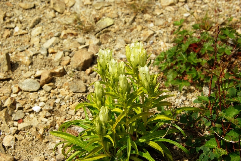 b0062024_18212775.jpg