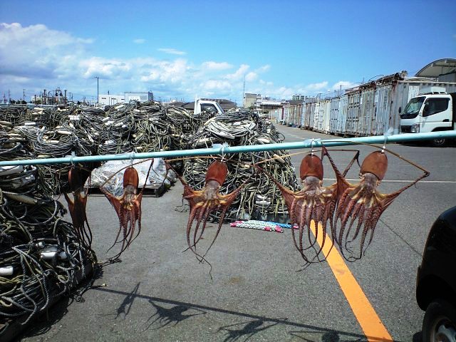 c0009224_18185737.jpg
