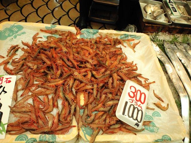 c0009224_18482744.jpg