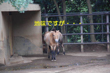 c0130324_21261472.jpg