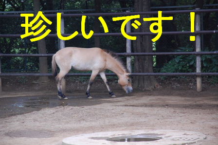 c0130324_21271098.jpg