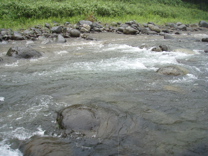 f0103126_17192647.jpg