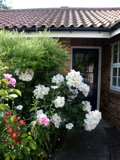 f0165831_5233688.jpg