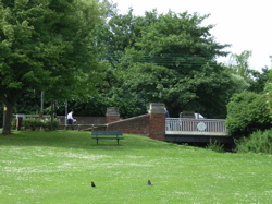 f0165831_5515841.jpg