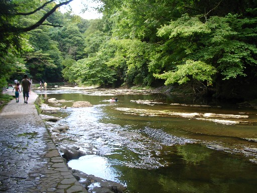 f0002833_223927.jpg