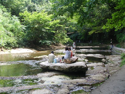 f0002833_2239337.jpg