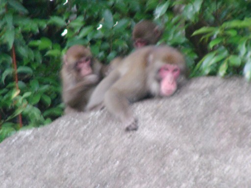 f0002833_22404766.jpg