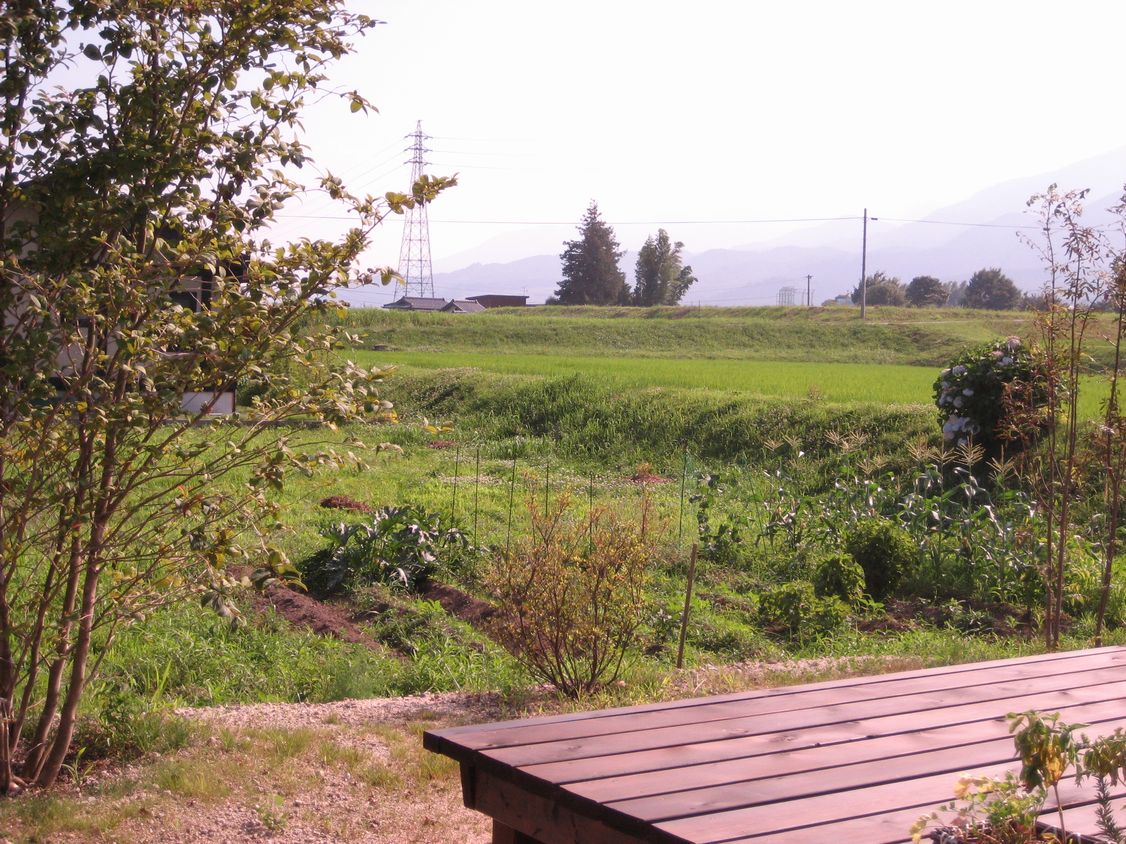 a0019637_15505223.jpg