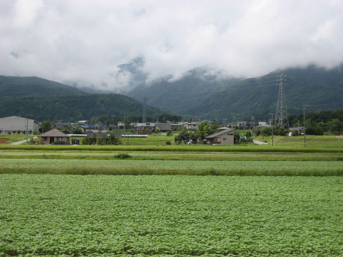 a0019637_15531548.jpg