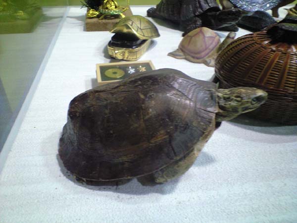 e0119439_21535473.jpg