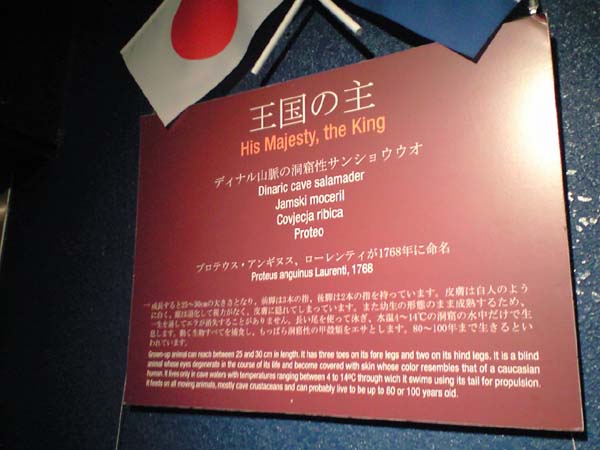 e0119439_21574433.jpg
