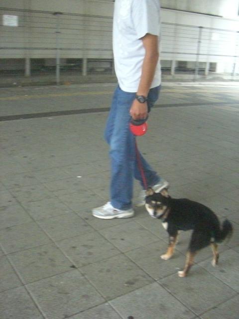 e0025240_22535636.jpg